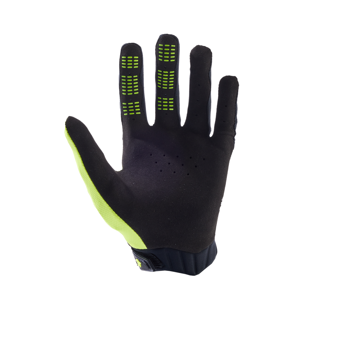 360 Gloves