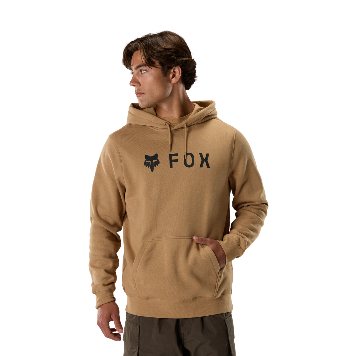Absolute Pullover Hoodie